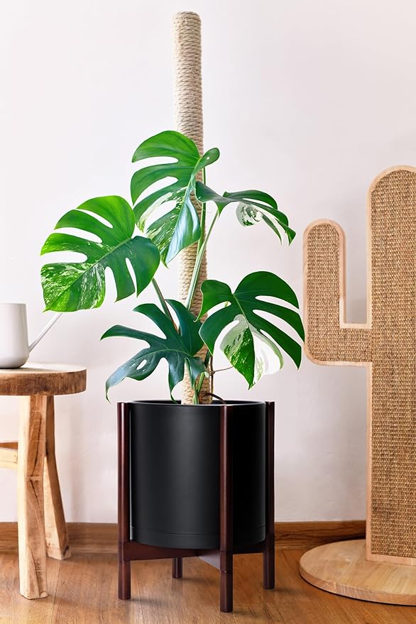 D'vine Dev Planter Pot with Stand - 12 Inch Plastic Cylinder Flower Pot with Wood Planter Holder for Indoor, Matte Black Pot + Mahogany Stand, 55-C-O-2