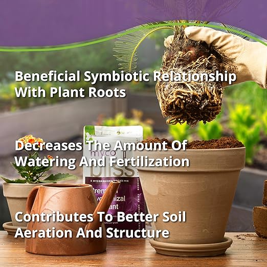 Myco Bliss Powder (20lbs) - Mycorrhizal Fungi for Soil - 5 Strain Mycorrhizal Inoculant with 1000 Propagules Per Gram - Highly Concentrated Mycorrhizae for Plants, Potting Soil, & Garden Soil