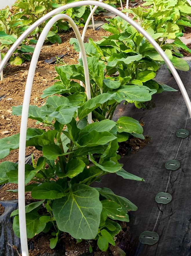 GROWNEER 200 Pack Galvanized Landscape Staples 6 inch 11 Gauge Garden Staples and 200 Pack Gasket U-Shaped Tent Stakes SOD Pins Yard Stakes for Securing Weed Fabric Barrier Ground Cover Fence