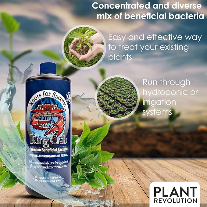 King Crab Instant Compost Tea for Plants, Ultra Concentrated OMRI Organic Bacteria, 275 Million Organisms per ml, Roses, Tomatoes, Houseplants, Soil Conditioner, Soil Activator, Soil Microbes