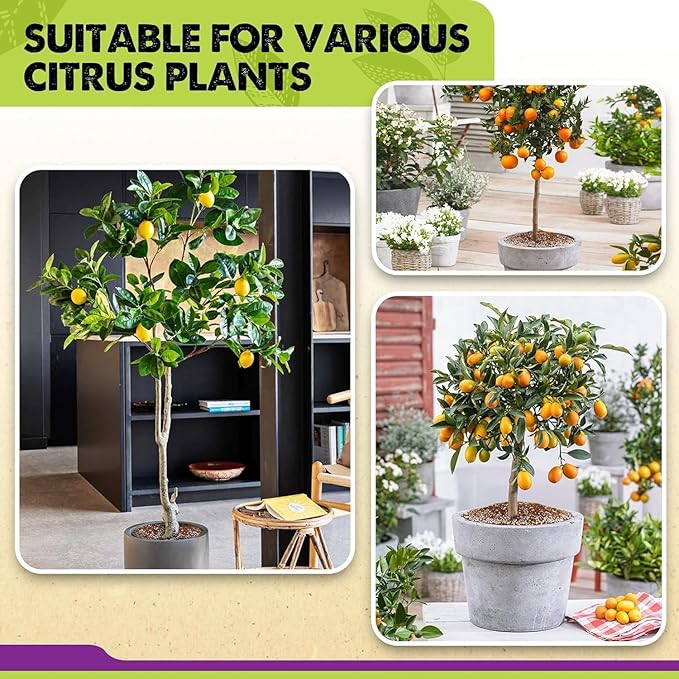 DUSPRO Recycle Citrus Tree Potting Soil Mix for Potted Lemon Tree, Specialized for Oranges, Fruit Tree Indoor Planting Pre-Mixed 4-in-1 Ready to Use (10 Quarts)