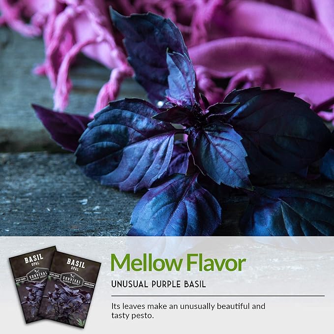 Survival Garden Seeds - Opal Basil Seed for Planting - 5 Packs with Instructions to Plant and Grow Delicious & Unique Purple Basil Herb Plants in Your Home Vegetable Garden - Non-GMO Heirloom Variety