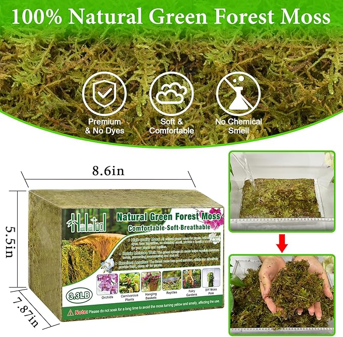 Halatool 3.3LB Green Forest Moss Natural Sphagnum Moss for Plants Fluffy Orchid Moss for Orchids Repotting Dried Plant Moss for Potted Plants Indoor & Outdoor