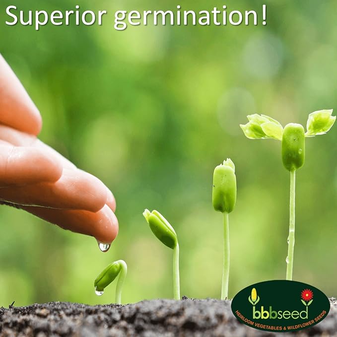 Parade of Poppy Wildflower Seeds - 1oz, Open-Pollinated Wildflower Seed Mix Packets, No Fillers, Annual, Perennial Wildflower Seeds, Year Round Planting - 1 oz