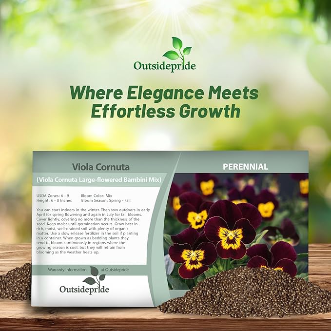 Outsidepride 1000 Seeds Perennial Viola Bambini Flower Seed Mix for Planting