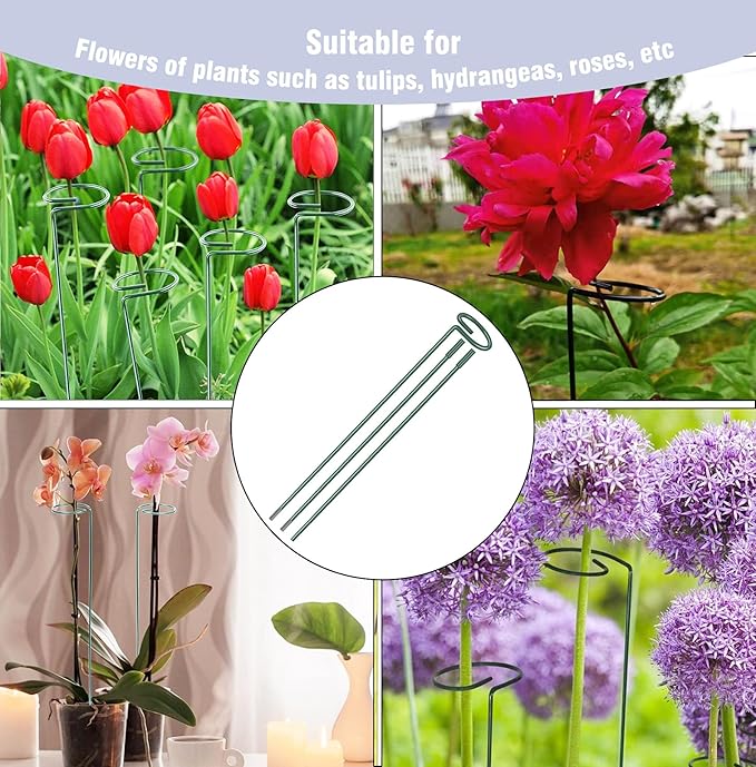 4.5mm Adjustable Length Plant Stake, Assembled (12 or 24 or 36 inch) Outdoor and Indoor Plant Support Poles for Flowers Marigolds Tomatoes Lilies Peonies Roses Daffodils Flower Clips (8 Sets, 32 Pcs)
