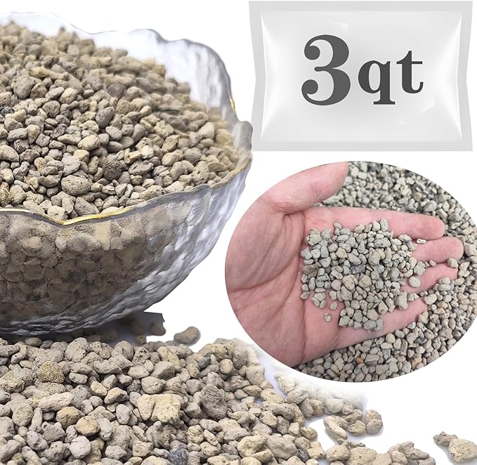 Horticultural Pumice for Plants Professional Sifted (3 QT, 1/4 inch)