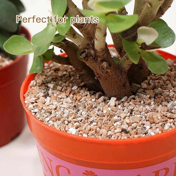 8QT Vermiculite, Organic Vermiculite for Gardening, Plants, Seed Starting, Potting Soil, Muchroom Growing, Horticultural Vermiculite Bulk, 100% Natural, 3-6mm