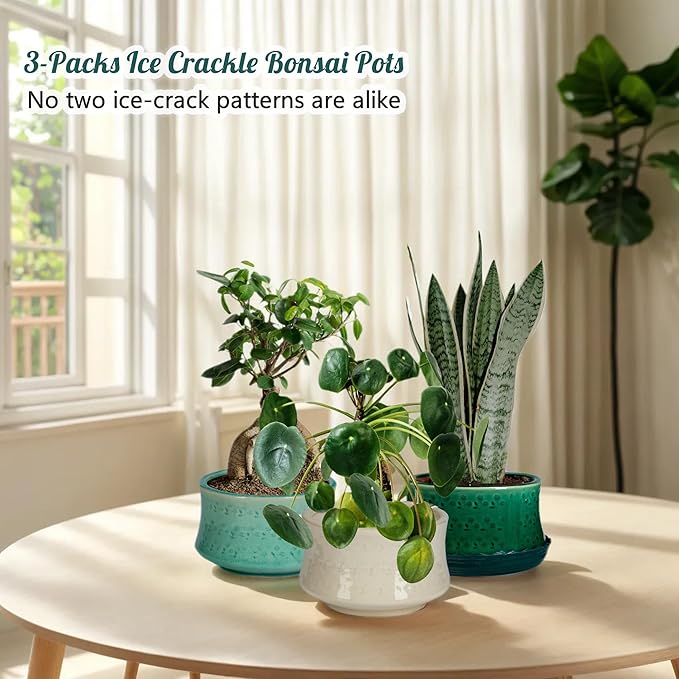 FFPOPU 3-Packs Ceramic Bonsai Pots with Drainage Tray, 6-inch Cute Bonsai Tree Pot with Ice Cracked Glaze, Small Bonsai Planter Pot for Desktop Decoration