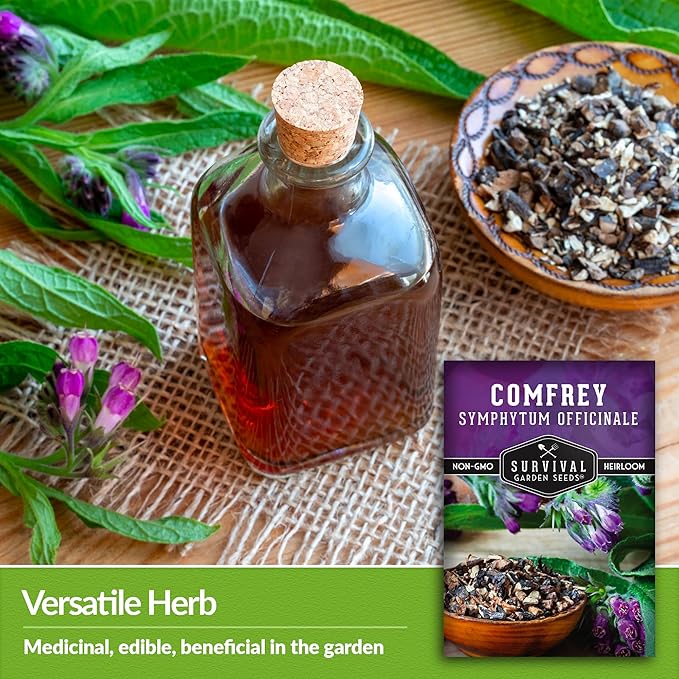 Survival Garden Seeds Comfrey Seed for Planting - 5 Packets with Instructions to Plant and Grow Slippery Root Plants in Your Home Herb Garden - Symphytum officinale - Non-GMO Heirloom Seed Variety