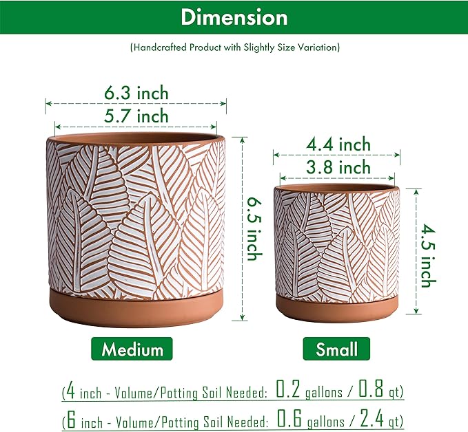 D'vine Dev Set of 2 Terracotta Pots, Broadleaf Pattern Planter Pot, 4 Inch and 6 Inch, Pot with Drainage Hole and Saucer, Terracotta/White, 31-958-H-1