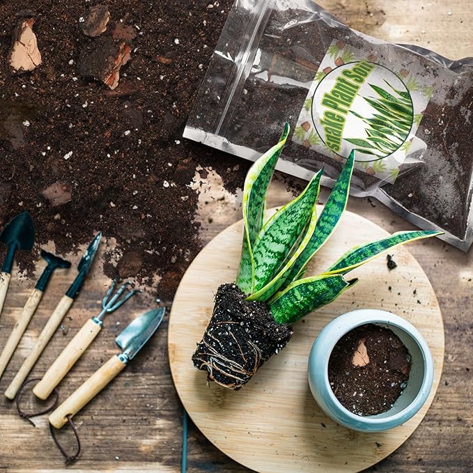 Premium Snake Plant Soil Mix 1qt, Indoor Plants Potting Mix for All Potted Snake Plants, Promote Healthy Growth and Easy Care