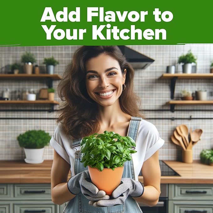 HOME GROWN 30 Herb Seeds Pack | 9,500 Non-GMO, Heirloom Seeds | Indoor & Outdoor Planting | Culinary Herb Seeds Variety Pack | HG30H Perfect for Hydroponic Gardens | Parsley, Rosemary, Thyme & More