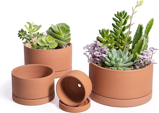 D'vine Dev Set of 4 Terracotta Shallow Planter Pots for Succulent, 3 Inch 4 Inch 5 Inch 6 Inch, Small Flower Plant Pots with Drainage and Saucer, 40-Z-0