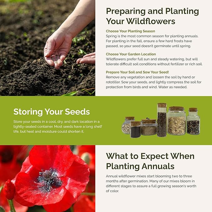 Eden Brothers Endless Summer Annual Succession Flower Mixed Seeds for Planting, 5 lb, 2,400,000+ Seeds with Cosmos | Attracts Pollinators, Plant in Spring or Fall, Zones 3, 4, 5, 6, 7, 8, 9, 10