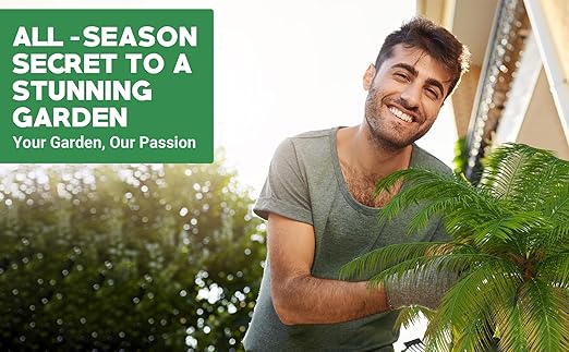 8-4-8 Professional Palm Tree Fertilizer Plant Food; for Indoor Potted Plants and Outdoor Landscape Palm Trees; Quick-Release Nitrogen Fertilizer and Continuous Feeding (3 QUARTS)