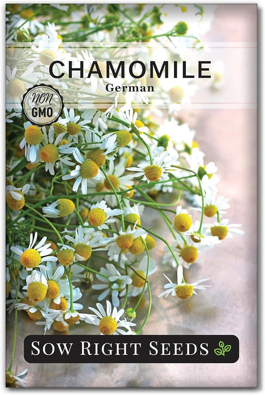 Sow Right Seeds - German Chamomile Seeds for Planting - Non-GMO Heirloom Packet with Instructions to Grow Herbal Tea - Medicinal & Aromatic Flower, Home Remedies - Small Daisy-Like Blooms (1)