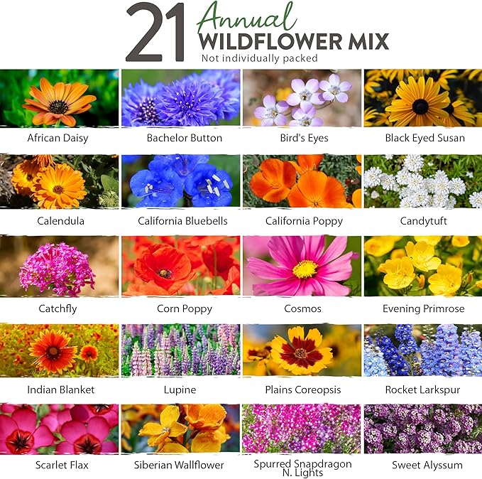 HOME GROWN 112,000+ Wildflower Seeds: Bulk Mix of 21 Varieties, Non-GMO Wild Flower Seed, Bee and Butterfly Garden Variety Pack, Annual Flowers Seeds for Planting, Native Wildflowers for Your Garden