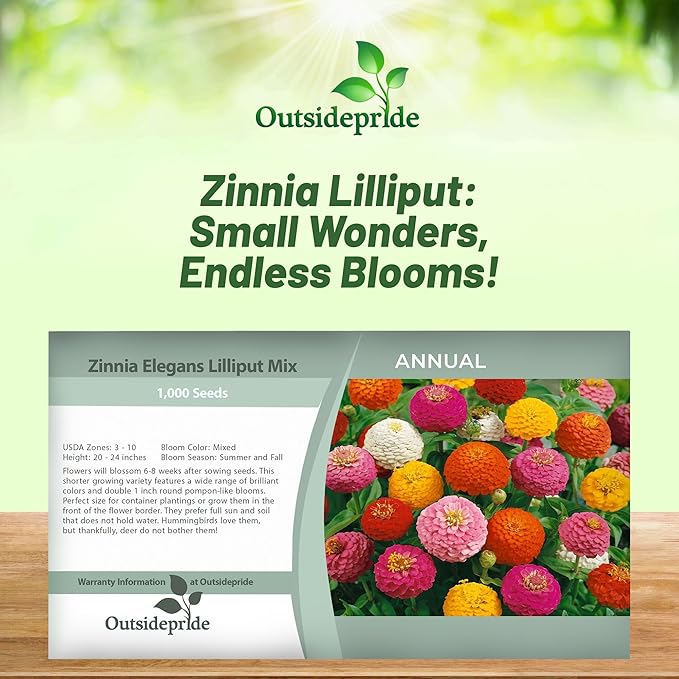 Outsidepride Zinnia Seeds - 1000 Pcs Annual Blend of Hardy Compact Mixed Color Ball-Shaped Blooms for Planting in Outdoor Containers, Borders, Flower Beds, Cutting Gardens & Pollinator-Friendly Spaces