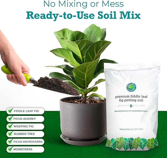Fiddle Leaf Fig Potting Soil Mix by Fiddle Leaf Fig Plant Resource | Premium Organic Soil with Enhanced Drainage for Fast Growth and Healthy Roots (Large Bag)