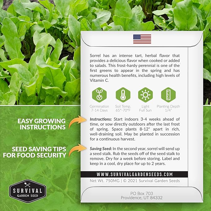3 Packs Sorrel Seed for Planting - Packet with Instructions to Plant and Grow Rumex Acetosa Tangy Herb and Salad Greens in Your Home Vegetable Garden - Non-GMO Heirloom Variety - Survival Garden Seeds