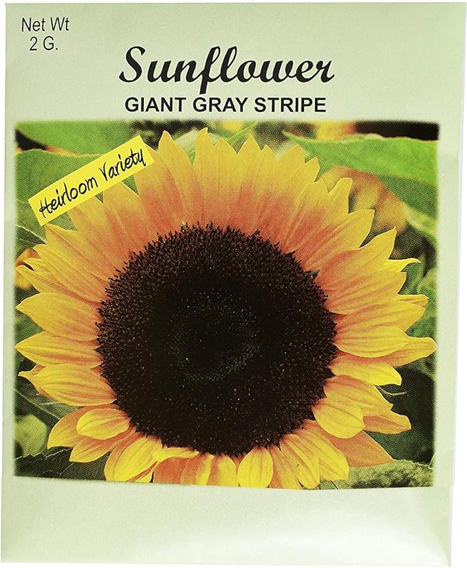 Set of 100 Flower Seed Packets! Flower Seeds in Bulk (100, Sunflower)