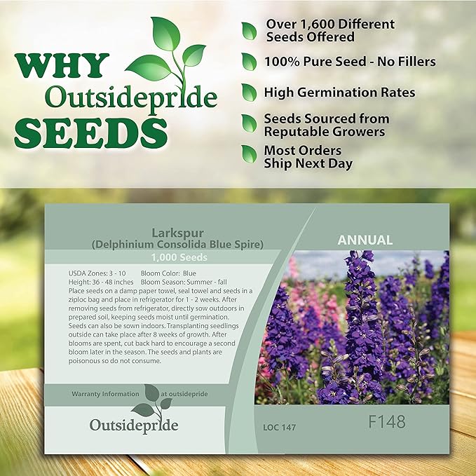 Outsidepride 2000 Seeds Delphinium Blue Larkspur Flower Seeds for Planting