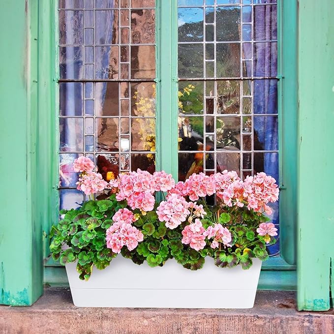 GREANER 12x3.8 Inch Herb Planters, 6 Pack White Rectangle Window Boxes with Tray, Indoor Succulent Cactus Mint Plastic Pot with Saucer for Windowsill, Balcony, Office, Outdoor Garden