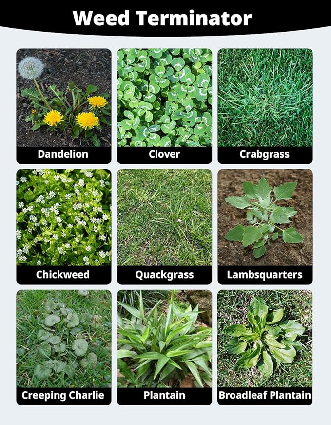 DEERFAMY Heavy Duty Stand Up Weeder Puller Tool, Adjustable 40-46in Ergonomic Long Handle Weeder Tool with 4-Claw Stainless Steel and Easy-Eject Mechanism, Weeding Without Bending, Green