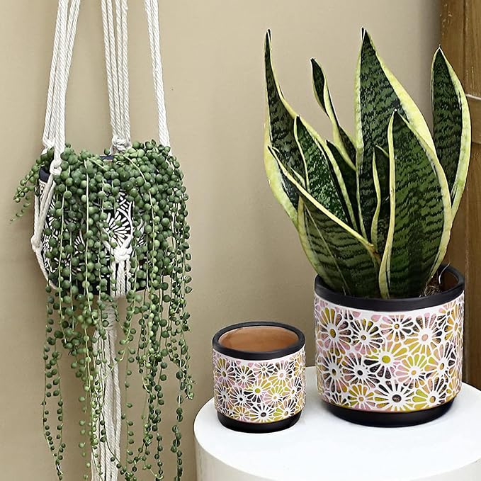 3 Piece Ceramic Plant Pots, 5.7/4.7/3.5/inch Planters with Drainage Hole, Outdoor Indoor Flower Pots Set, Modern Decorative Plant Pots for Lilies, Cacti, Succulents, Snakes, Bamboo(Black)