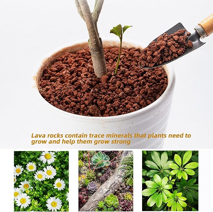 14LB Red Horticultural Lava Rocks Soil for Decorative Landscaping Bonsai, Cacti, Succulents Plants Top Dressing