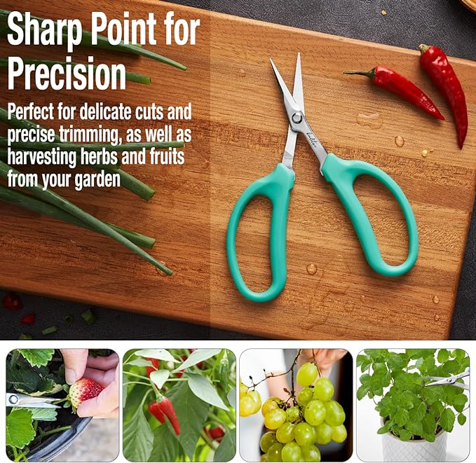 Beaditive Culinary Herb Scissors - Compact 6.5-Inch Stainless Steel Kitchen Scissors - Dishwasher Safe - Sharp Tip for Snipping Fresh Herbs