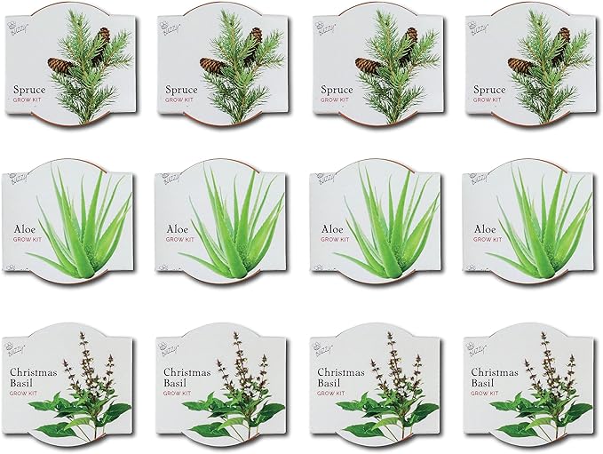 BUZZY Seeds Terracotta Mini Grow Pots | Herb, Plant, Flower Starter Kit for Kids & Adults | Assorted 12-Pack, Radiant Collection | Guaranteed to Grow | Best Indoor Grow Your Own Plant Gardening Gift