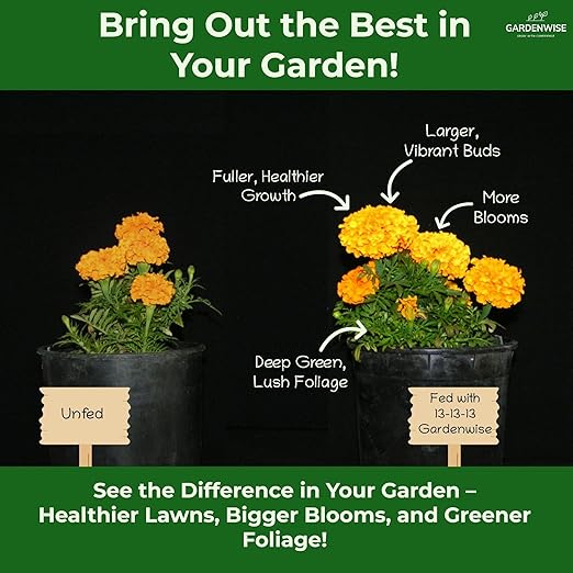 13-13-13 Slow Release Granular Fertilizer – All Purpose Plant Food 13 13 13 for Outdoor Grass, Vegetables, Roses, Flowers, Shrubs, Trees. Lawns, Gardens, Potted Plants (1 Quart)