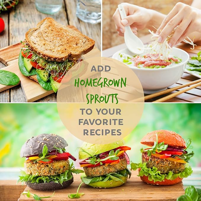 Handy Pantry Organic Radish Sprouting Seeds | 4oz. Non-GMO Daikon Radish Seeds | Radish Seeds For Planting, Sprouting, & Microgreens