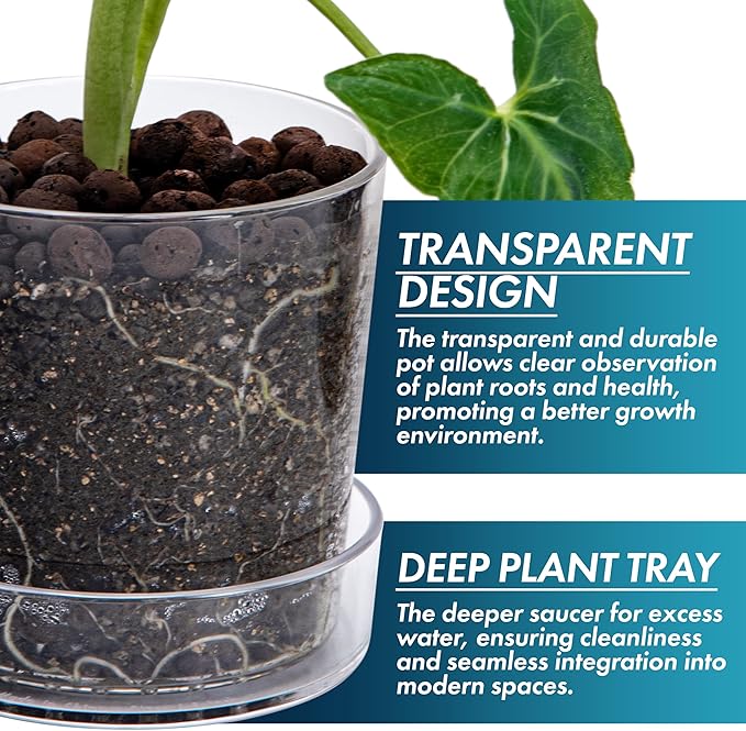 Phoenix Vine 4.5 Inch Clear Acrylic Planter Pot with Tray, Orchid Pot with Drainage Holes, Deep Saucer for Bottom Watering, Transparent Containers for Indoor Plants, Herbs, Set of 2, 91-A-E-2