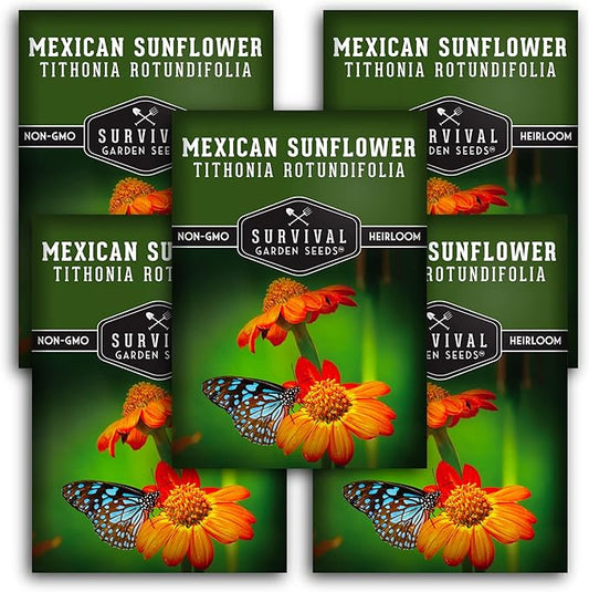 Survival Garden Seeds - Mexican Sunflower Seed for Planting - 5 Packs with Instructions to Plant and Grow Tithonia Rotundifolia in Your Home Vegetable or Flower Garden - Non-GMO Heirloom Variety