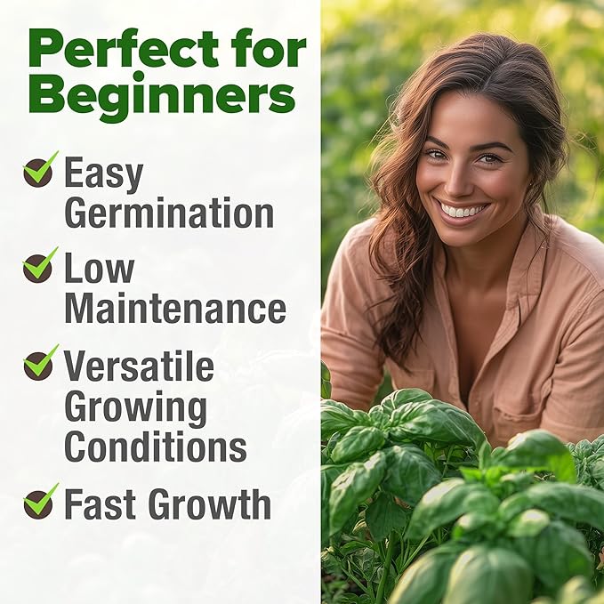 HOME GROWN Italian Basil Seeds (Bulk Pack), 1424 Sweet Large Leaf Basil Seeds for Planting, Non-GMO and Heirloom Herb Seeds for Planting Indoors or Outdoors (Ocimum basilicum)