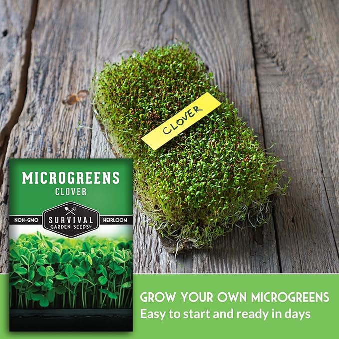 3 Packs Clover Microgreens Seeds for Sprouting and Growing - Sprout Green Leafy Micro Herb Plants Indoors - Grow A Mini Windowsill Garden - Non-GMO Heirloom