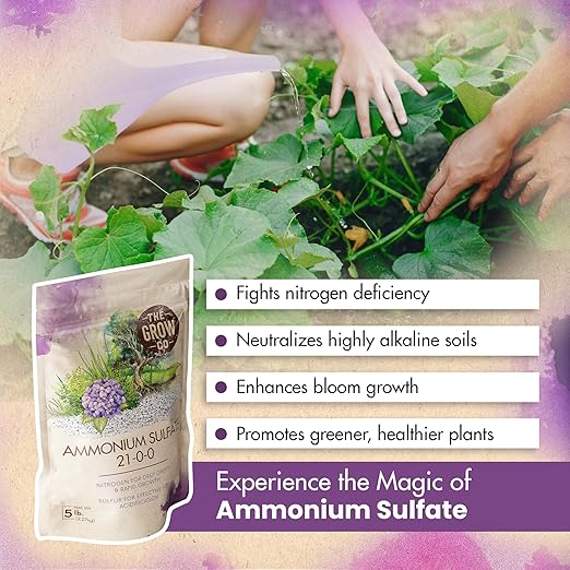 Ammonium Sulfate 21-0-0 Fertilizer, High Nitrogen Fertilizer for Plants Rapid Growth & Deep Greener Color, Ideal Ammonium Sulfate Fertilizer & Soil Acidifier to Lower pH Levels in Alkaline Soil, 5 lb