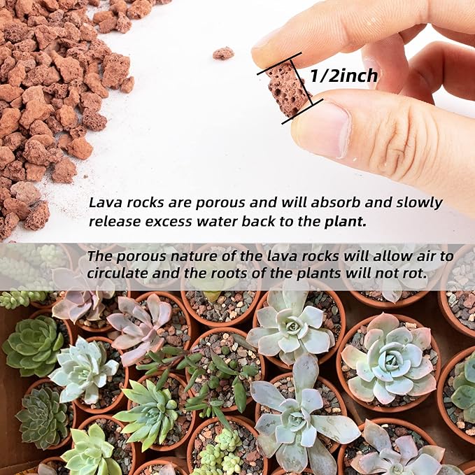 14LB Red Horticultural Lava Rocks Soil for Decorative Landscaping Bonsai, Cacti, Succulents Plants Top Dressing