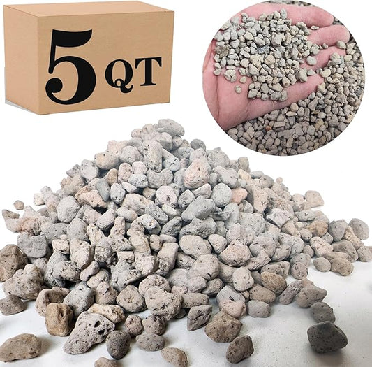 Garden Pumice Rock Horticultural Cactus Bonsai Succulent Soil Additive for Plants, Landscaping, Vase Fillers (1/4 inch, 5 QT)