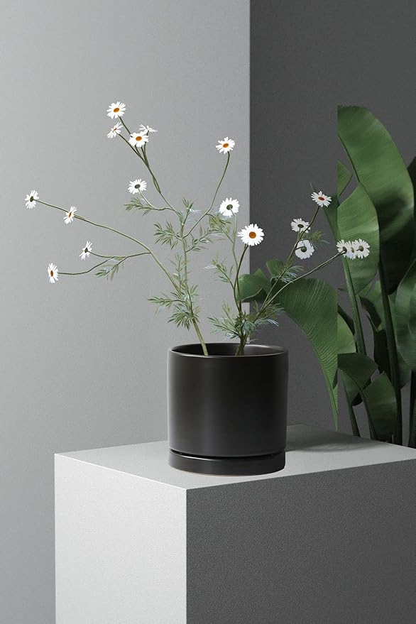 Aveyas 6 inch Ceramic Plant Pot with Drainage Hole and Saucer - Suitable for Indoor and Outdoor Use, Modern Planters for House Garden Orchid Flower Snake Monstera Plants (6", Matte Black)