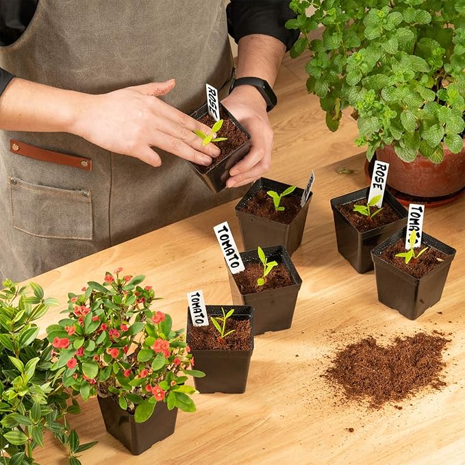 June Fox Square Nursery Pots 3.3 Inches Flexible Plastic Seedling Pots Square Pots for Plants, Succulent, Flower, Pack of 60, with 60 PCS Plant Labels