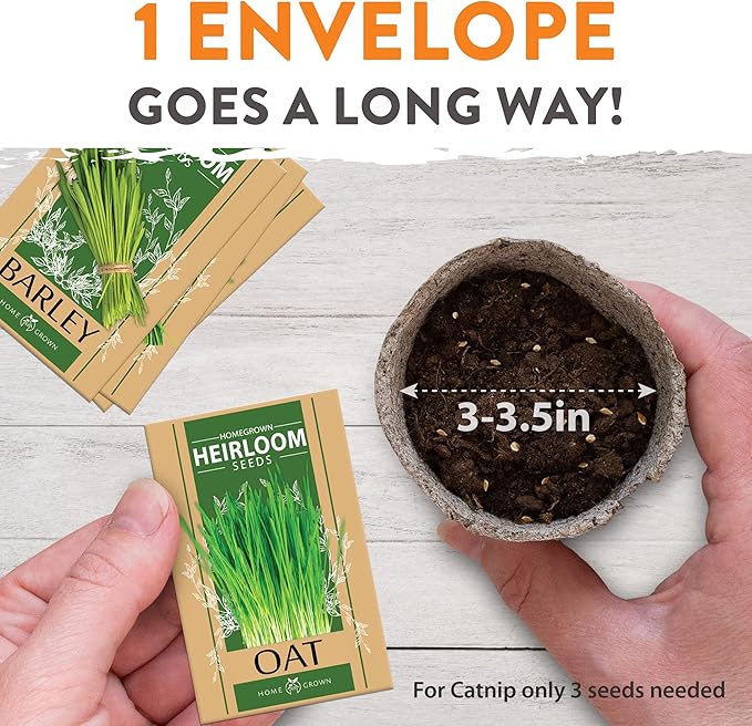 HOME GROWN Cat Grass Seeds - Grow Cat Grass for Indoor Cats - Cat Grass Seeds Bulk - Refill Cat Growing Grass Kit - Heirloom Cat Grass Seed (Cat Grass - 4pack)