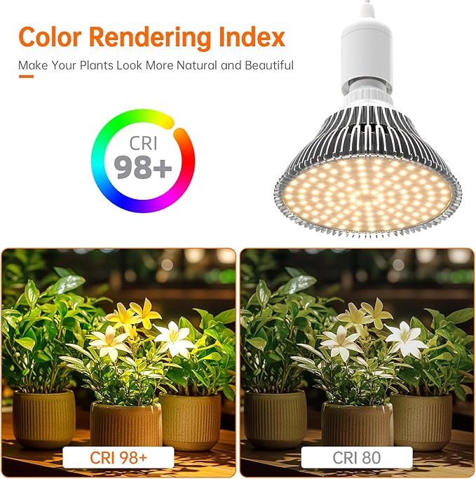 Hanging Grow Light with Wall Mounted Bracket, 25W, 3000K Led Plant Light Bulb, Full Spectrum Pendant Grow Light with Timer, 16.4 FT Power Cord, Decorative Grow Light for Indoor Plant