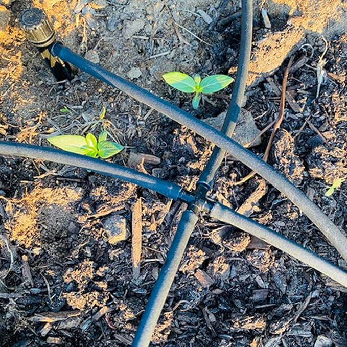 220PCS 1/4" Drip Irrigation Kit Barbed Connectors, Straight Barb, Tee, Single Barb, End Plug, Elbow, 4 Way Coupling Irrigation Fittings for Garden Lawn Flower Pot