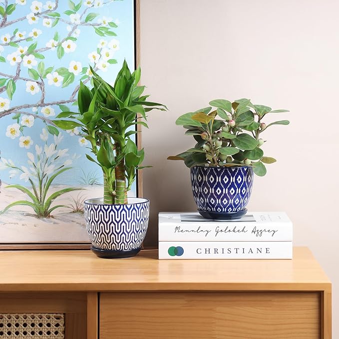 Selamica Ceramic Plant Pots, 4.6 Inch Flower Pots for Indoor Plants, Succulent Pots with Drainage Hole & Saucer, Succulent Planters for Succulent Cactus, Home Decor, Set of 4, Vintage Blue