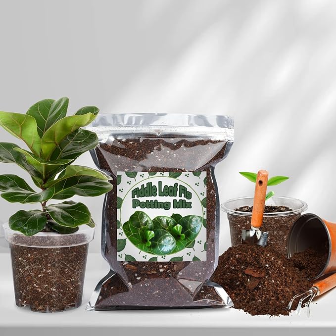 Organic Fiddle Leaf Fig Potting Mix 1qt, Indoor Plants Potting Mix for All Potted Ficus Lyrata Plant, Grow Healthy houseplants Indoors