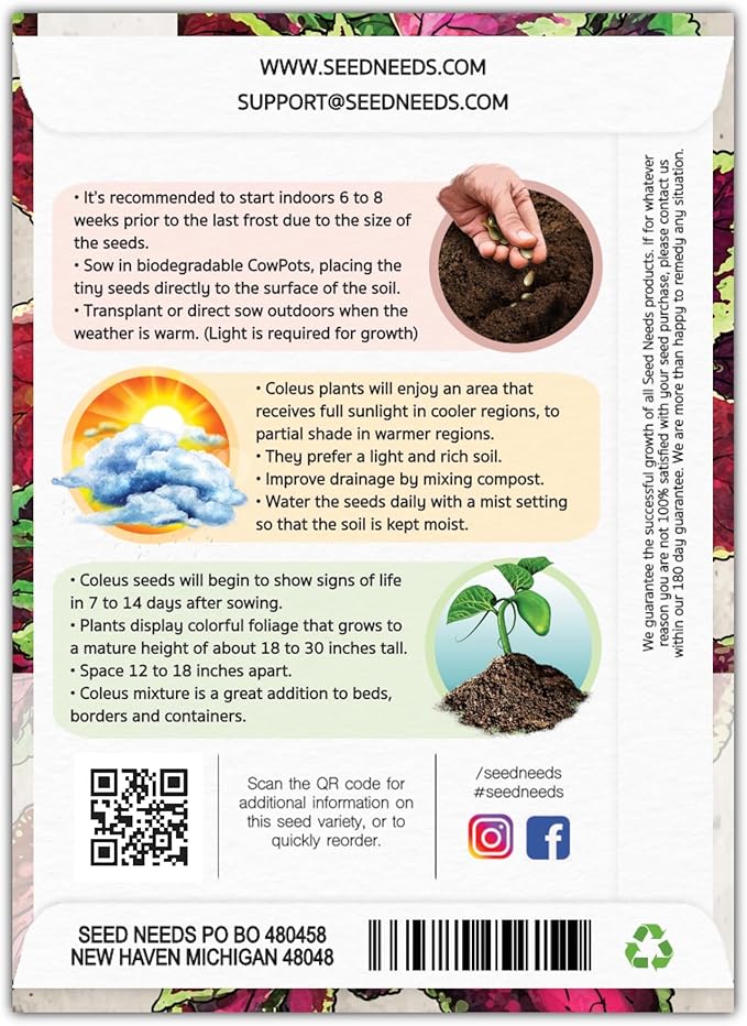 Seed Needs Coleus Seeds for Planting Rainbow Mixture - Heirloom & Open Pollinated Plants Prefer Partial Shade Indoors/Outdoors (5 Packs)